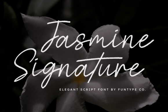 Exploring Jasmine Signature: A Hand-Drawn Script Font for Elegance and Personal Touch