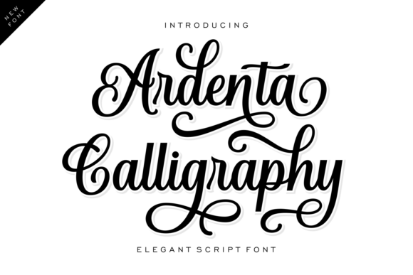 Romance Your Creative Canvas with Ardenta Calligraphy